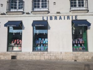 Boeken gerangschikt op kleur in een boekenzaak in Orléans
